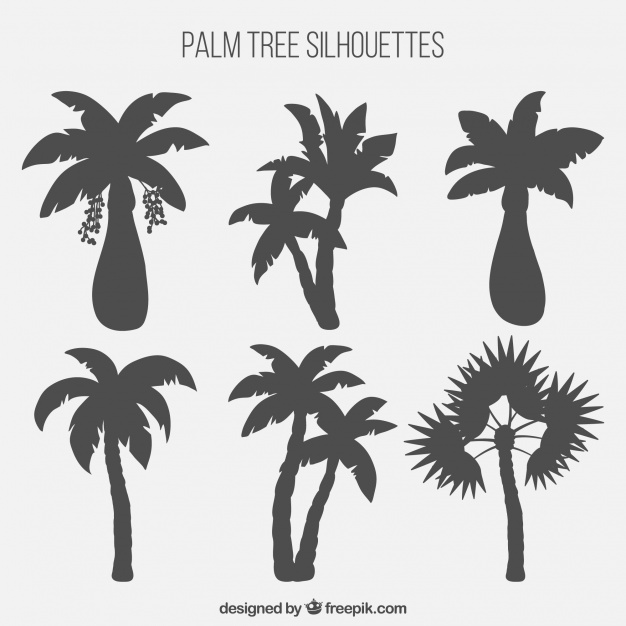 Palm Tree Silhouettes Collection Vector Free Download 626x626 Palm Tree Silhouettes Collection Vector Free Download