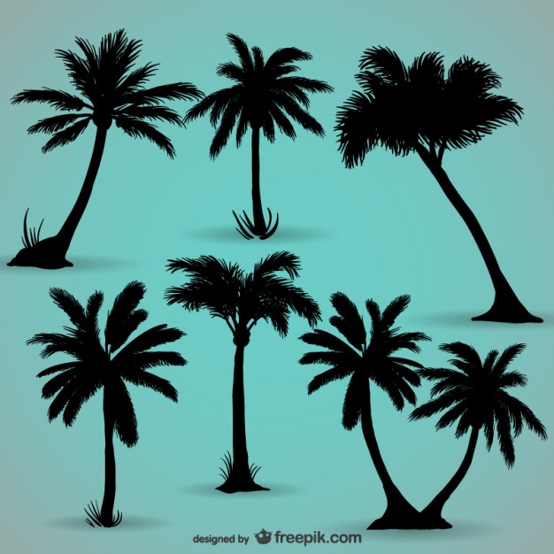 Palm Trees Black Silhouettes Vector Free Download 626x626 Palm Trees Black Silhouettes Vector Free Download