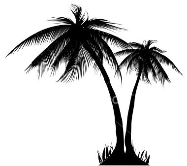 Very Detailed Palm Trees Silhouette Hires Included Love 380x337 Very Detailed Palm Trees Silhouette Hires Included Love