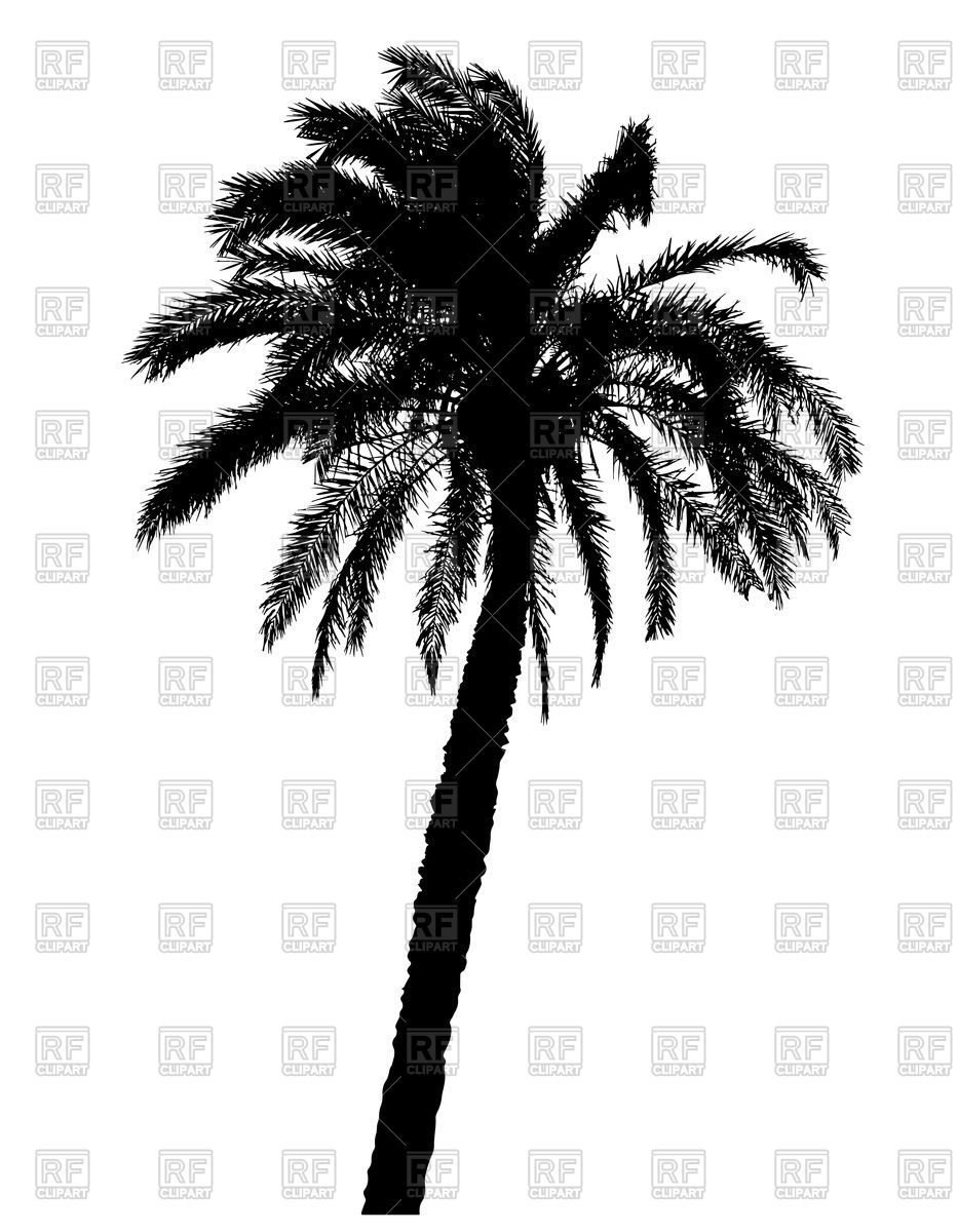 Black Silhouette Of Palm Tree Vector Image Of Plants And Animals 933x1200 Black Silhouette Of Palm Tree Vector Image Of Plants And Animals