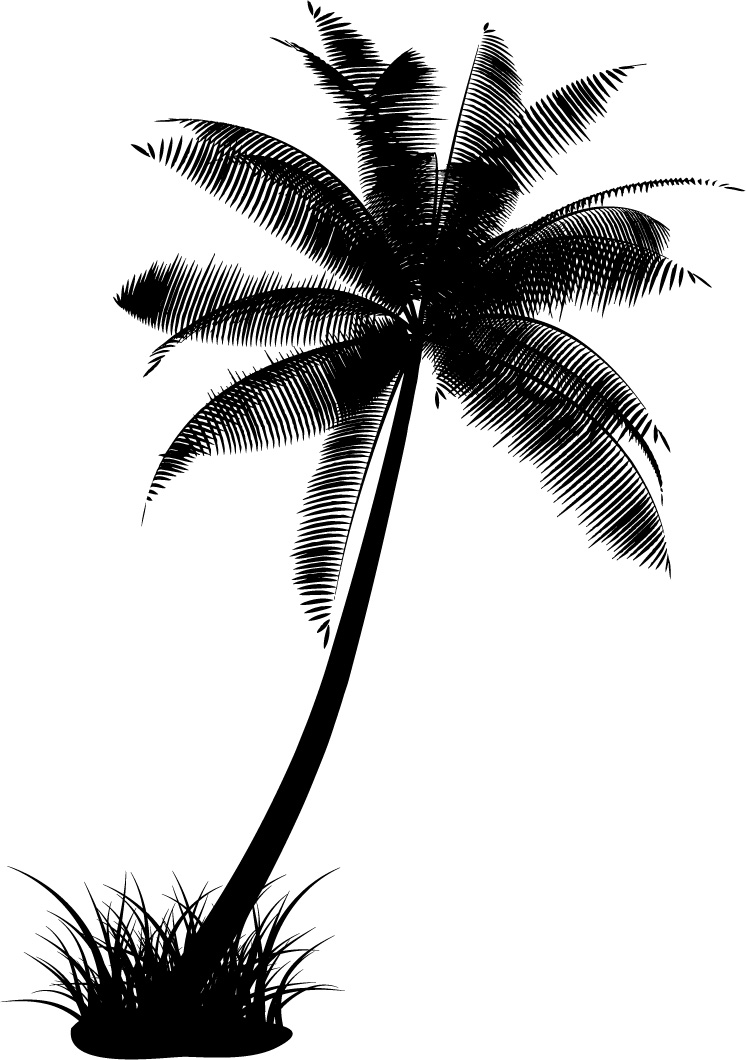 Coconut Tree Silhouette Vector Material Free Download Web 746x1060 Coconut Tree Silhouette Vector Material Free Download Web