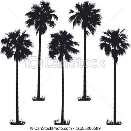 Collection Of 'palm Tree Vector Silhouette' Download More Than 450x452 Collection Of 'palm Tree Vector Silhouette' Download More Than