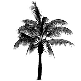 Download Palm Tree Silhouette Vector Clipart Royalty Free Palm Trees 260x260 Download Palm Tree Silhouette Vector Clipart Royalty Free Palm Trees