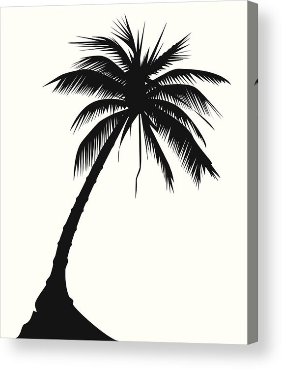 574x750 Palm Tree