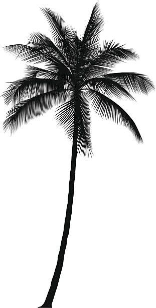 311x612 Palm Tree Vector Art Illustration Palm Tree Palm Tattoos