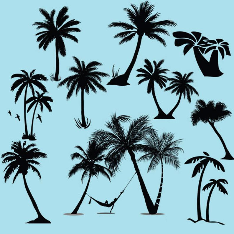 794x794 Palm Tree Clipart Silhouette Palm Trees Vector Digital Etsy