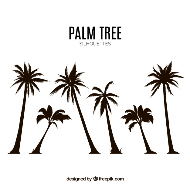 626x626 Silhouettes Set Of Palm Trees Vector Free Download