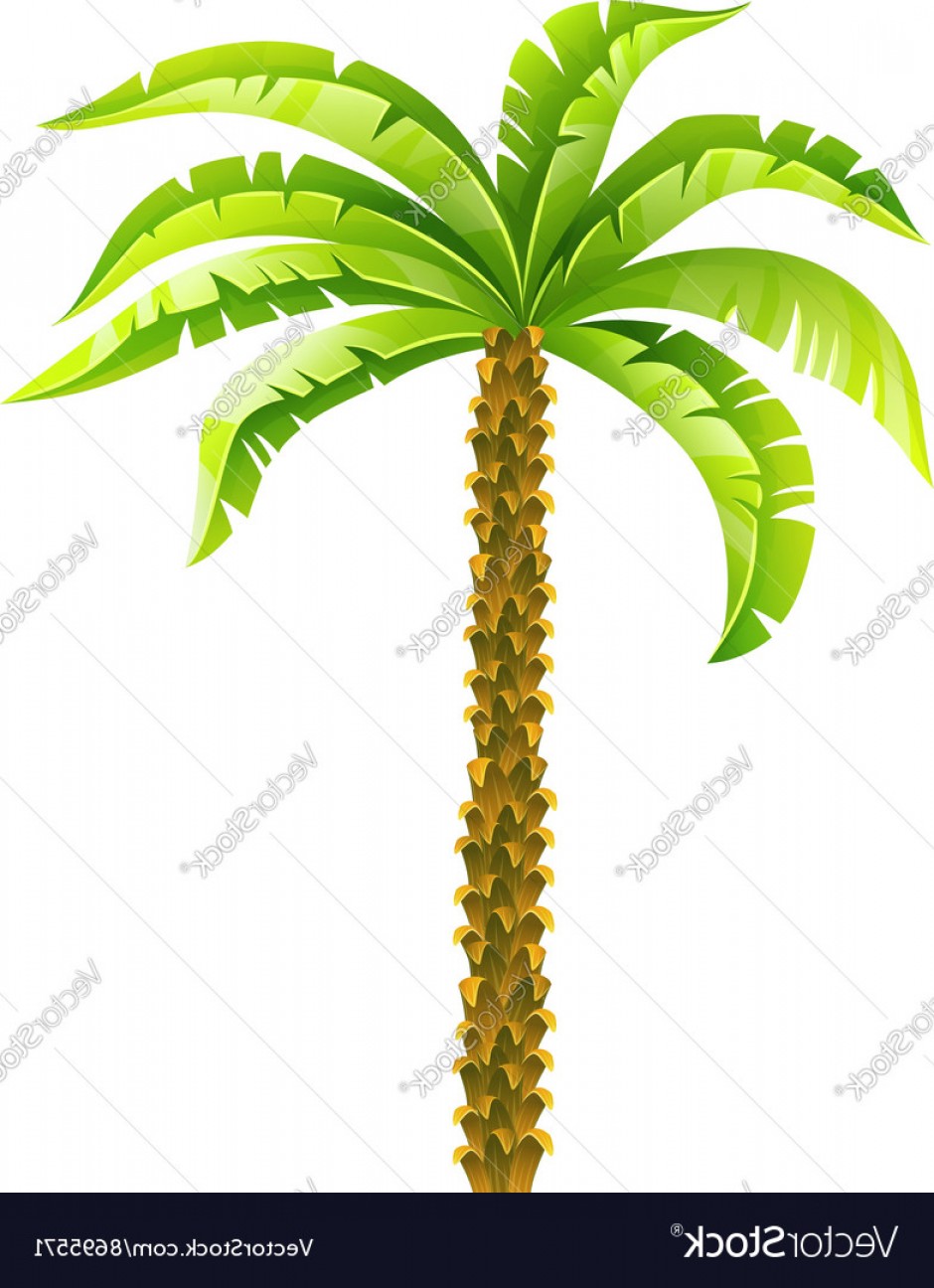940x1296 Tropical Coconut Palm Tree Vector Hoodamathrun