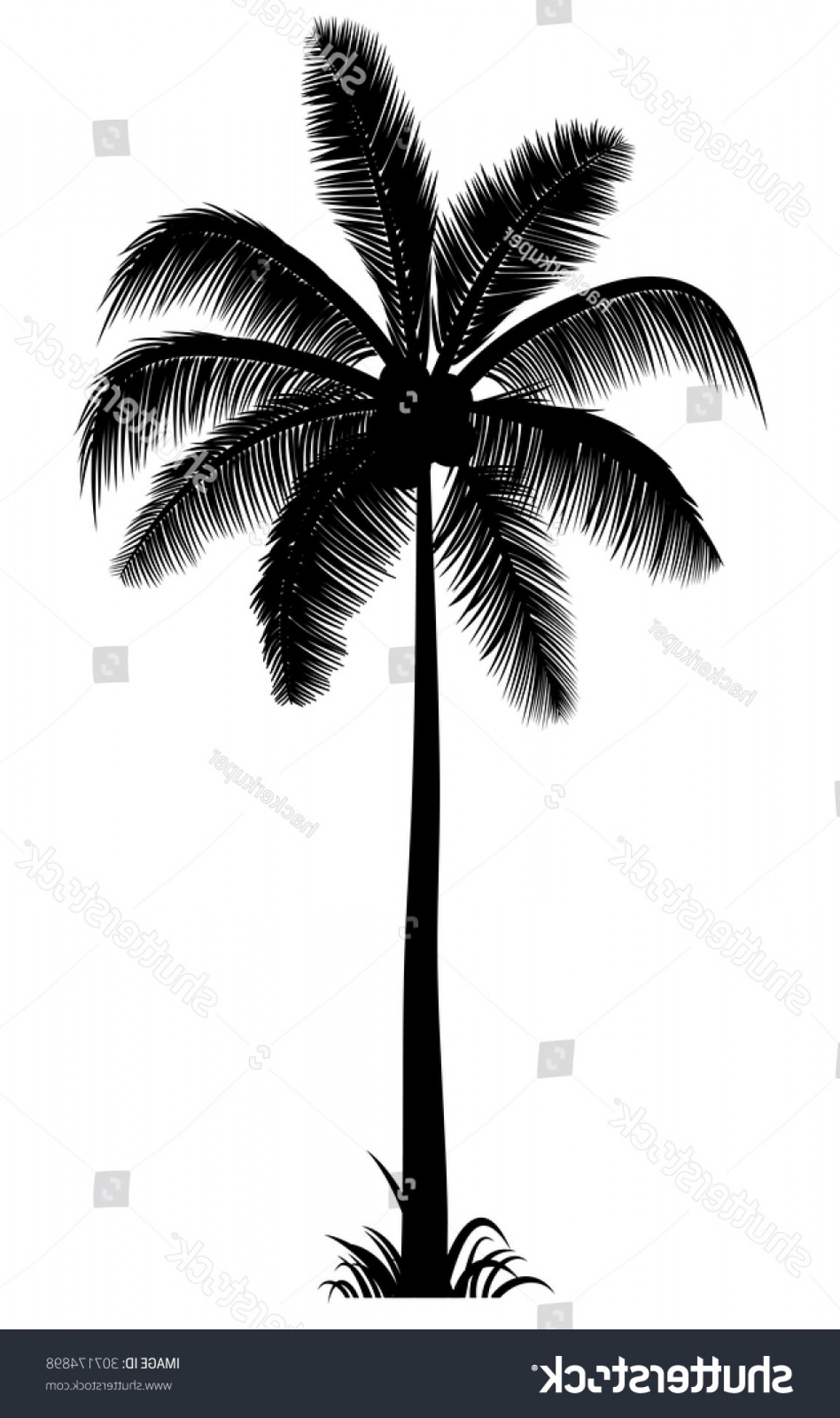 1137x1920 Vector Realistic Palm Tree Silhouette Black Soidergi