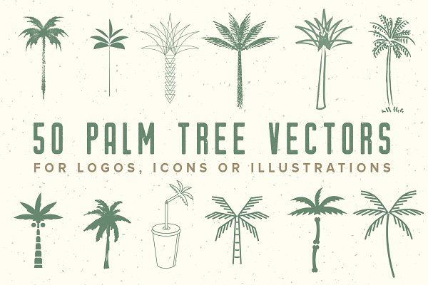 600x400 Vector Tree Palm Tree Vector Logos Icons