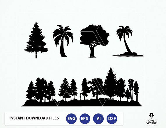570x440 Forest File Trees Trees Silhouette
