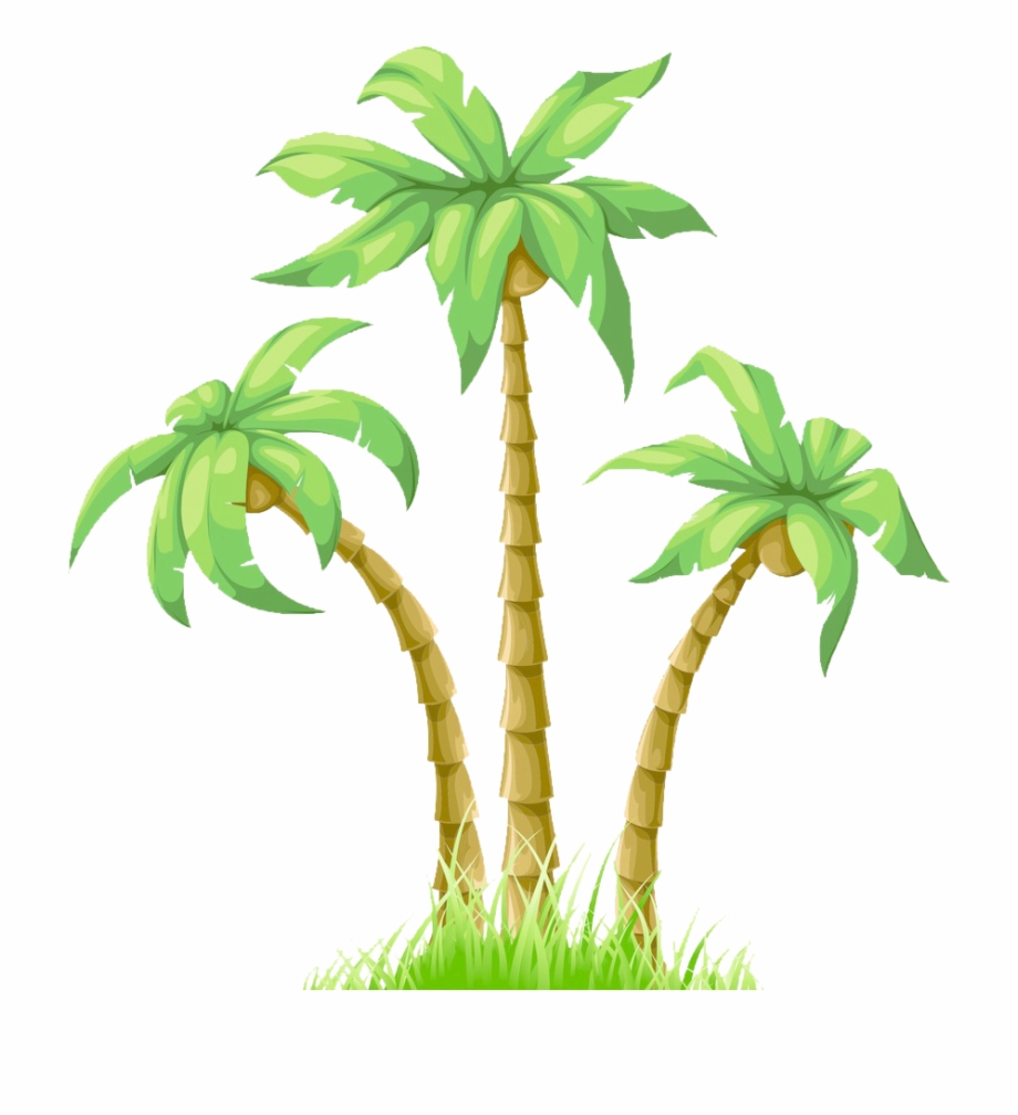 920x1008 Graphic Black And White Download Cartoon Poster Coconut