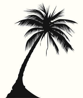 Palm Tree 338x400 Palm Tree