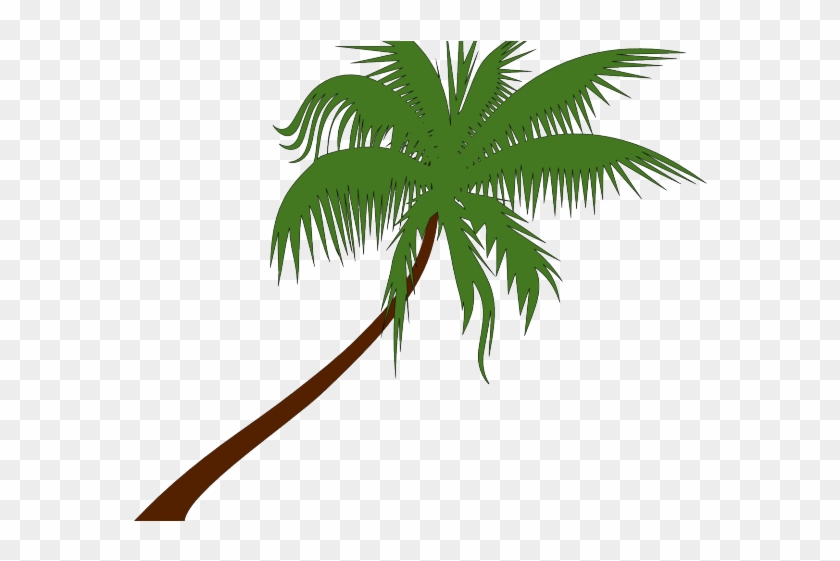 Palm Tree Vector Art 840x561 Palm Tree Vector Art
