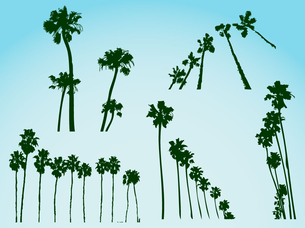 Palm Tree Vector Art Images 1024x768 Palm Tree Vector Art Images