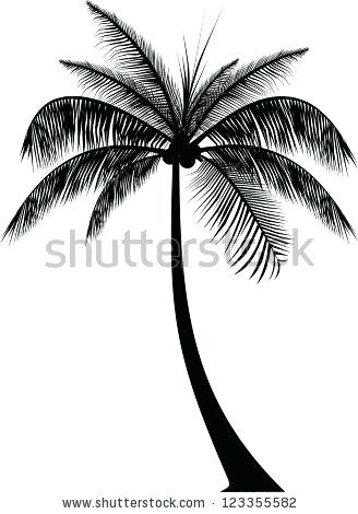 Palm Trees Design Palm Trees Vector Art Free Realistic Palm Tree 328x470 Palm Trees Design Palm Trees Vector Art Free Realistic Palm Tree