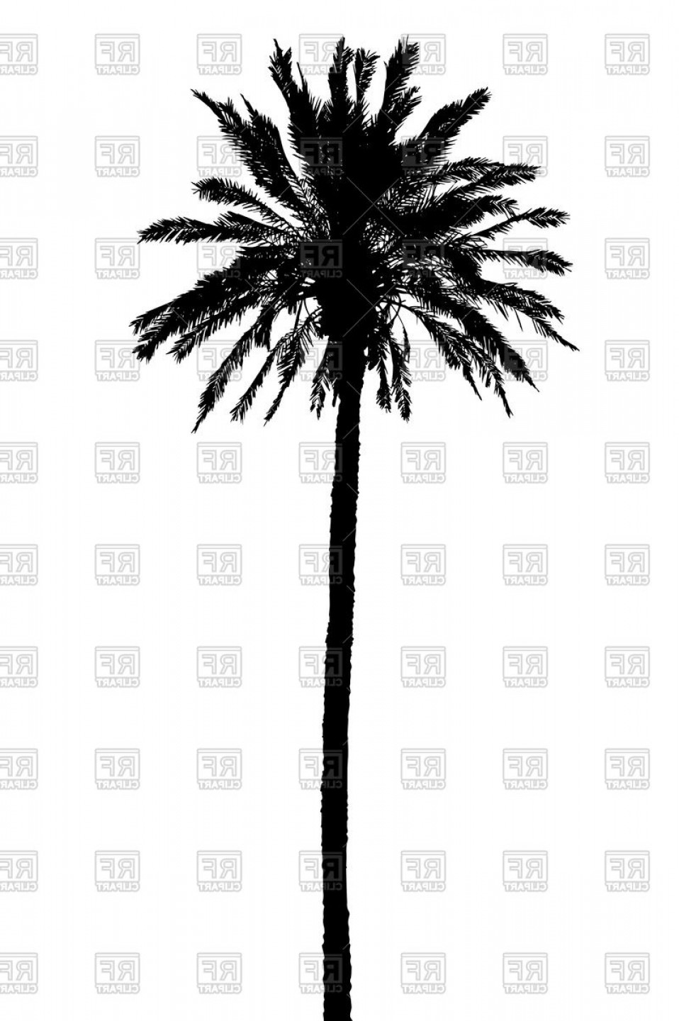 Silhouette Of Palm Tree Vector Clipart Catchsplace 958x1440 Silhouette Of Palm Tree Vector Clipart Catchsplace