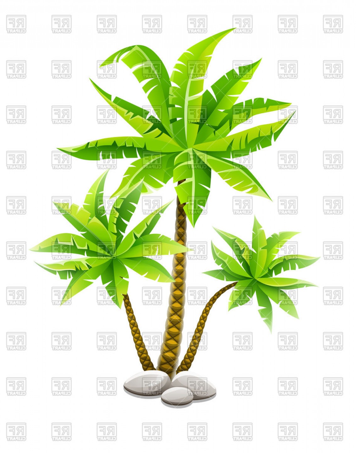 Tropical Coconut Palm Trees Coco Tree Vector Clipart Catamart 1132x1440 Tropical Coconut Palm Trees Coco Tree Vector Clipart Catamart
