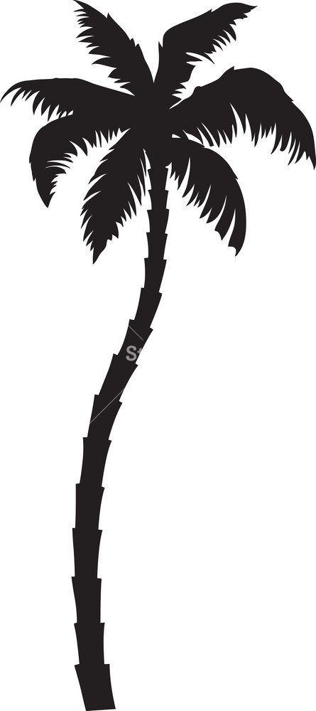 Beautiful Free Palm Tree Vector Art Free, Download Free Clip Art 445x1000 Beautiful Free Palm Tree Vector Art Free, Download Free Clip Art