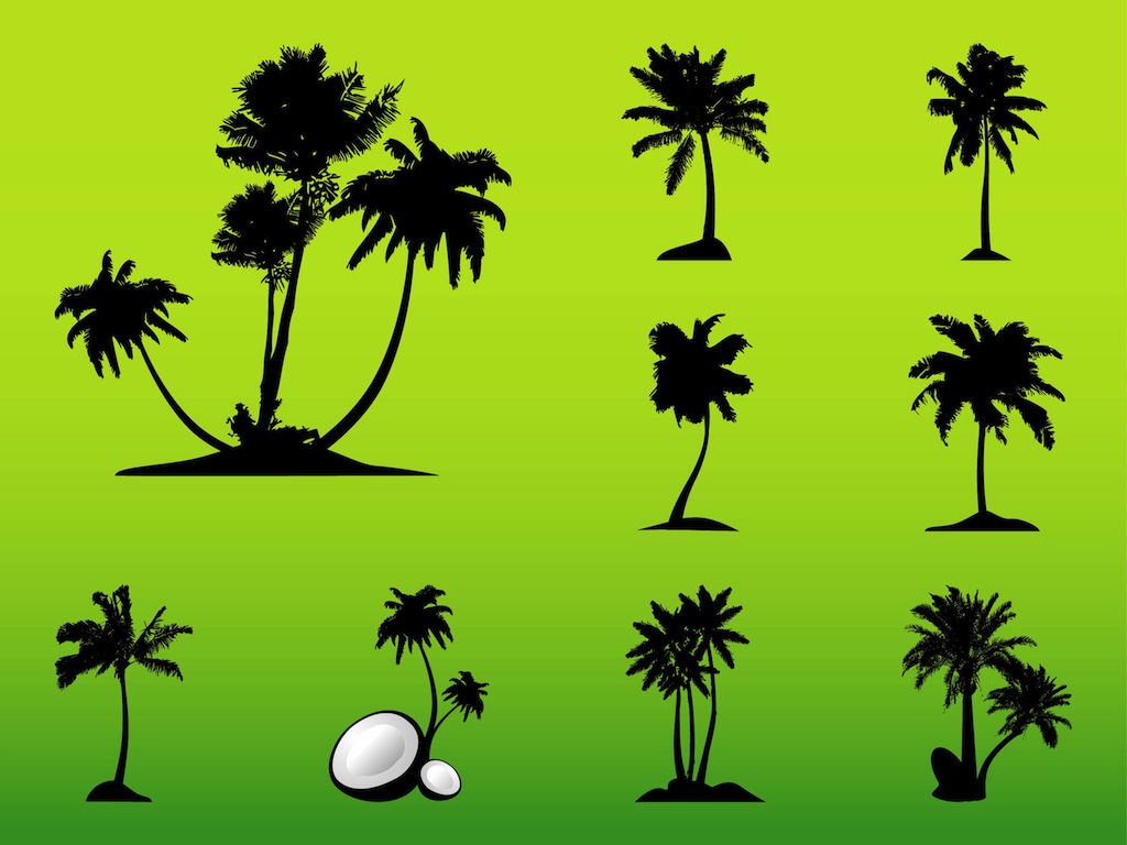 Vector Palm Trees Vector Art Graphics 1024x768 Vector Palm Trees Vector Art Graphics
