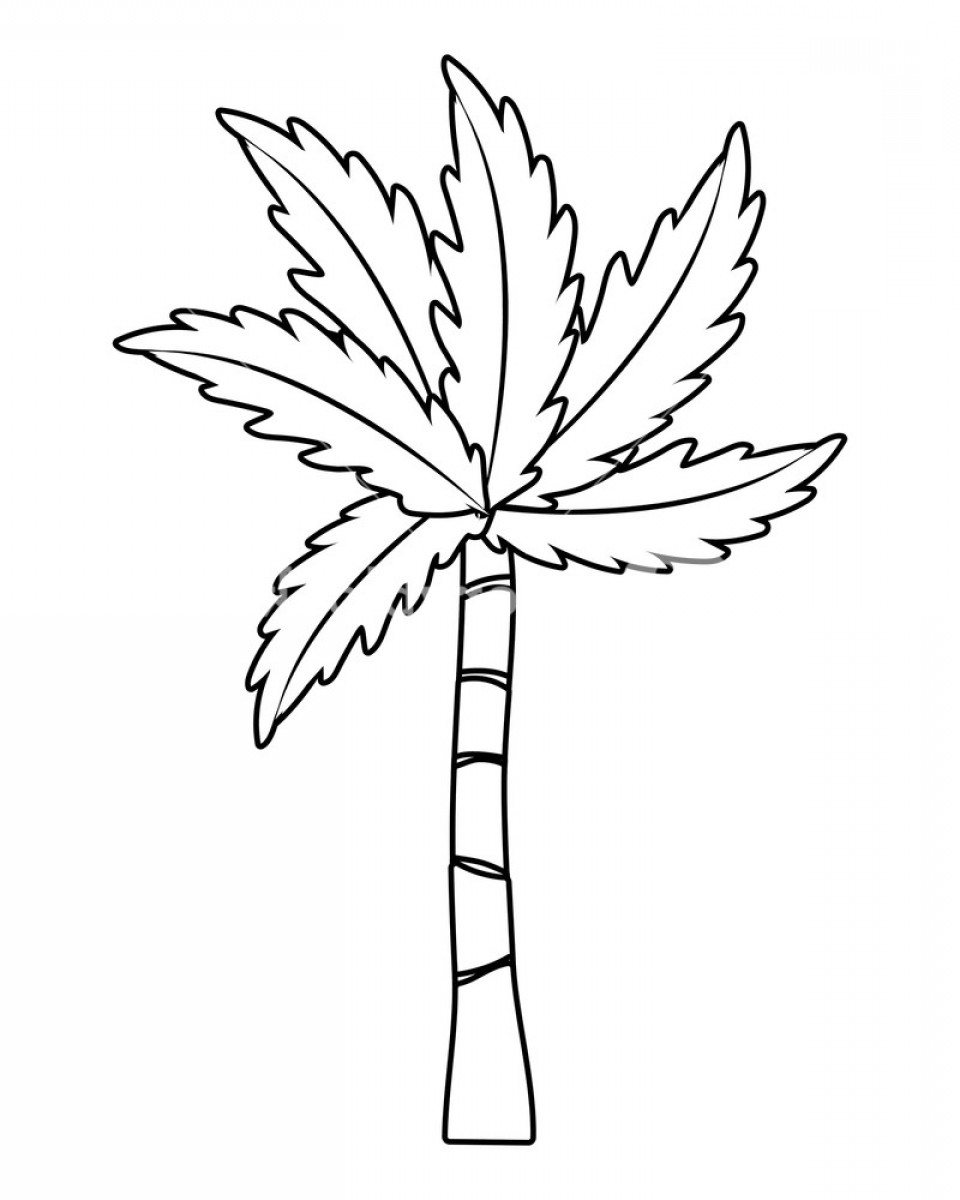 Palm Tree Vector Art at Vectorified.com | Collection of Palm Tree ...