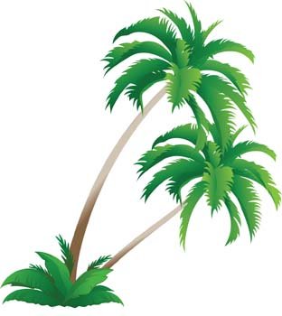 Free Palm Tree Clipart And Vector Graphics 312x350 Free Palm Tree Clipart And Vector Graphics