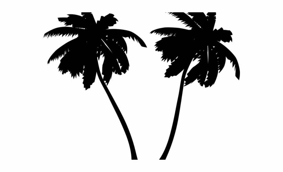 920x560 Palm Tree Vector Art Free