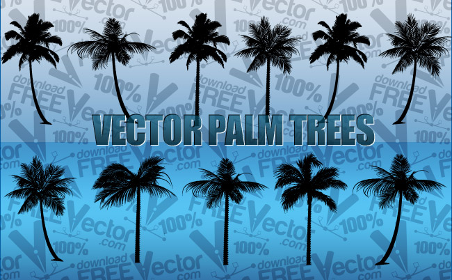 650x402 Palm Trees Free Vector