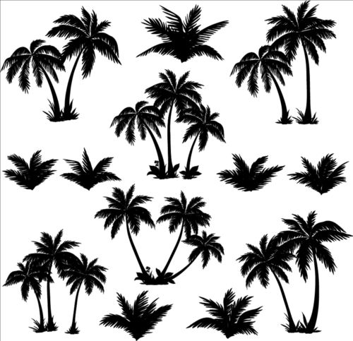 500x483 Palm Tree Silhouetter Vector Free Download