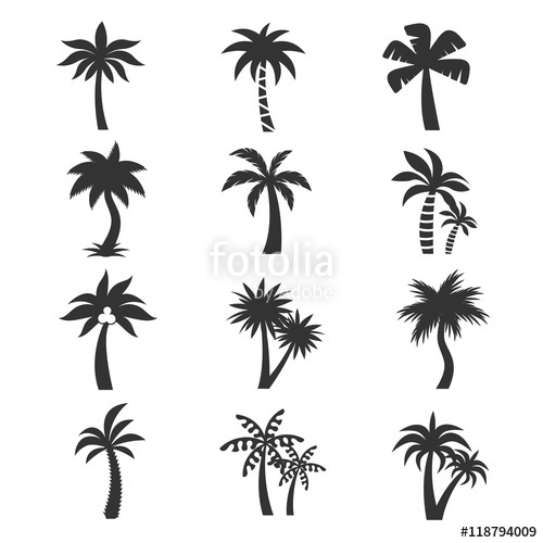 500x500 Tropical Palm Tree Vector Icons Set Silhouettes On The White