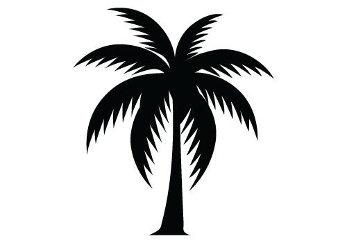 500x350 You Searched For Palm Tree Vector Free