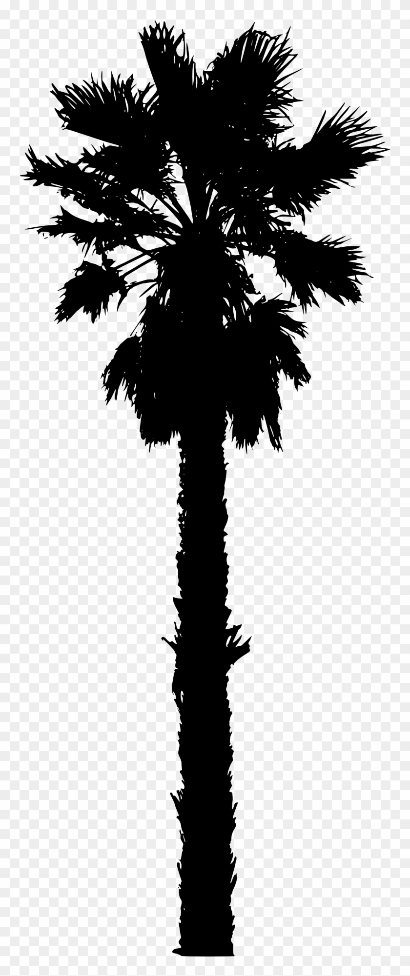 Palm Tree Vector Free Download