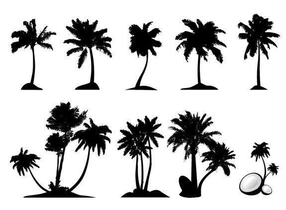 575x424 Palm Tree Silhouettes Set Palms Palm Tree Vector, Palm Tree