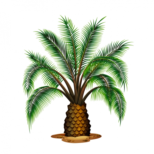 Palm Tree Vector, Logo Vector, Logo, Flyer Png And Vector 640x640 Palm Tree Vector, Logo Vector, Logo, Flyer Png And Vector