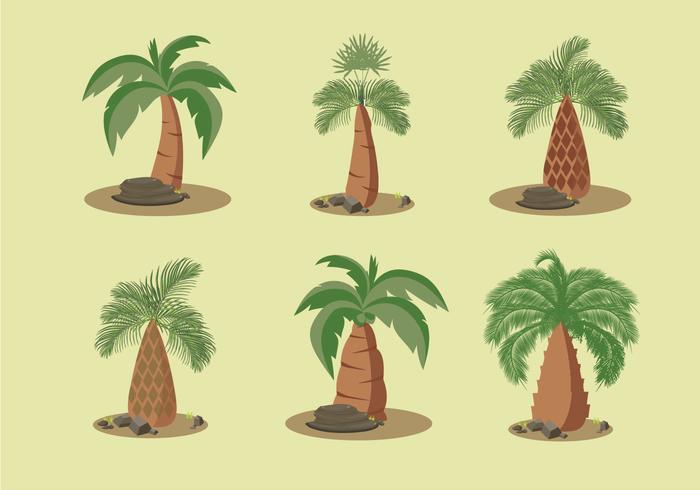 Palm Oil Trees Vector Illustration 700x490 Palm Oil Trees Vector Illustration