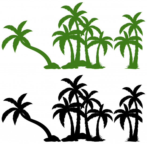 Set Of Palm Tree Vector Free Download 626x615 Set Of Palm Tree Vector Free Download