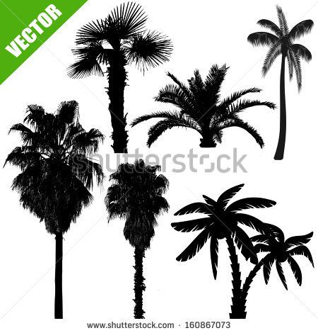 Palm Tree Vector Free Download at Vectorified.com | Collection of Palm ...