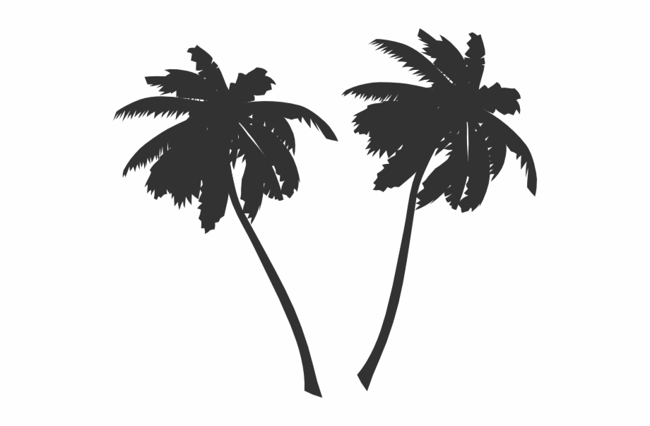 Transparent Palm Tree Vector, Transparent Png Download For Free 920x603 Transparent Palm Tree Vector, Transparent Png Download For Free