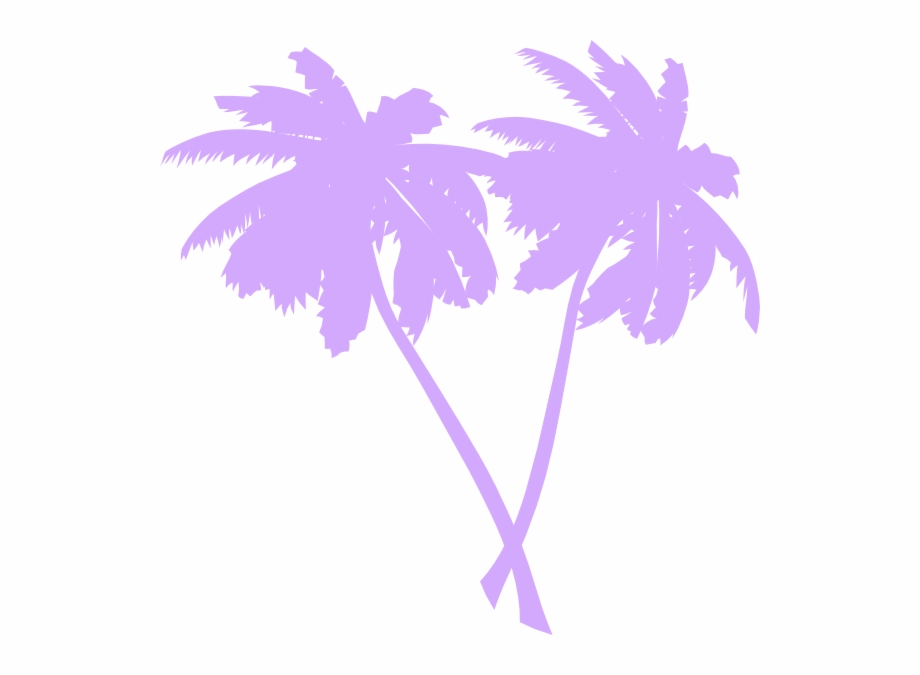 Transparent Palm Tree Vector Free Png Images Clipart Download 920x675 Transparent Palm Tree Vector Free Png Images Clipart Download