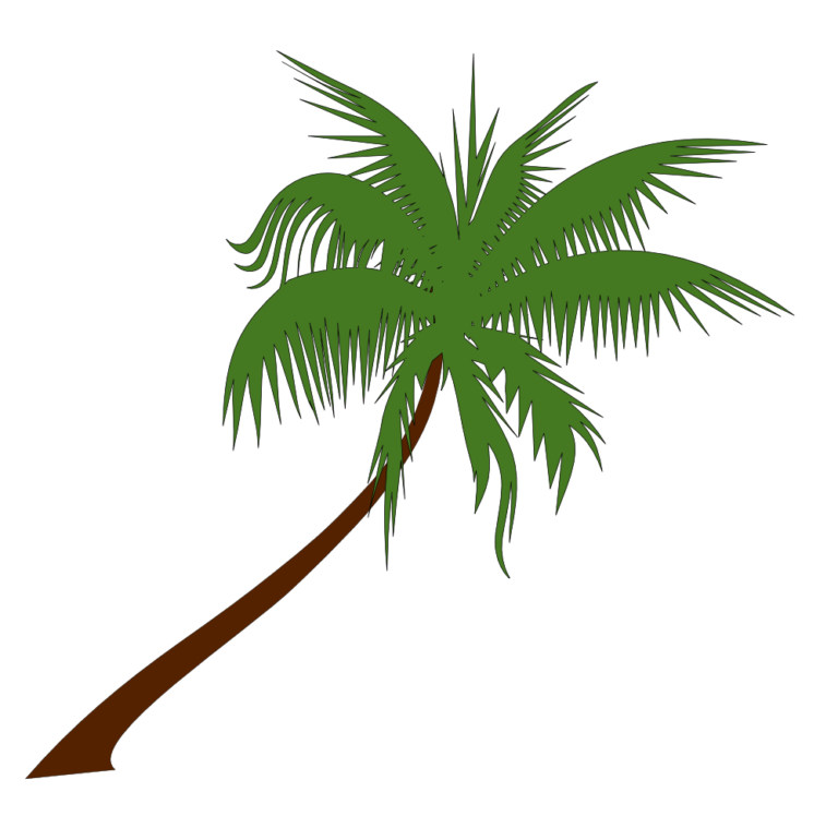 Palm Tree Clip Art Image Free Download Images Palm 768x770 Palm Tree Clip Art Image Free Download Images Palm