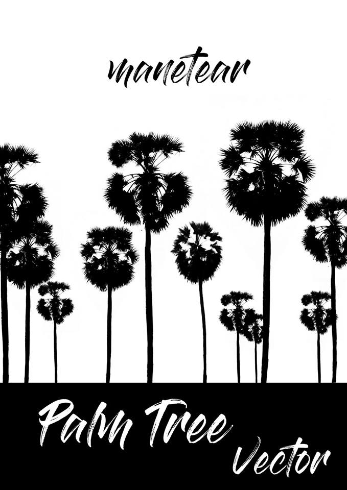 679x960 Palm Tree Khmer Palm Tree Vector Free Vectorkh