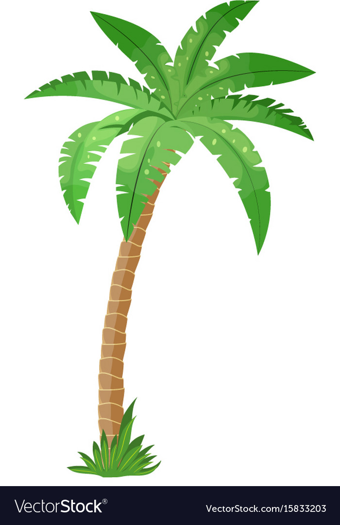 700x1080 Palm Tree Vector