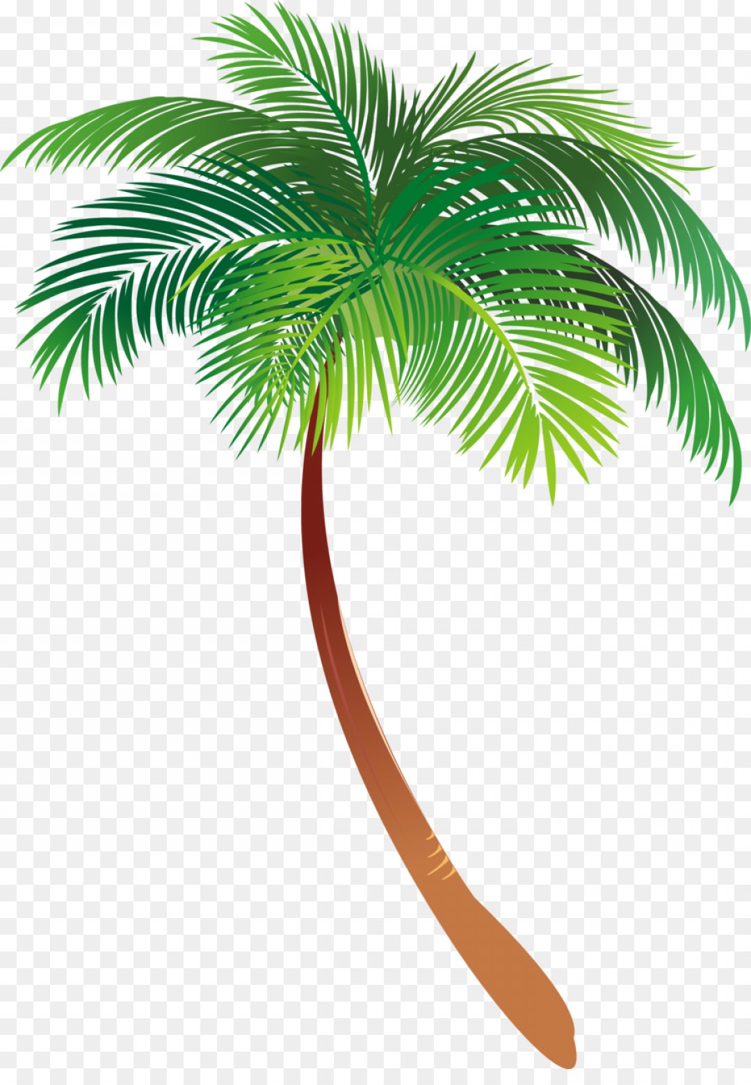 1080x1560 Palm Tree Vector Illustration Catchsplace