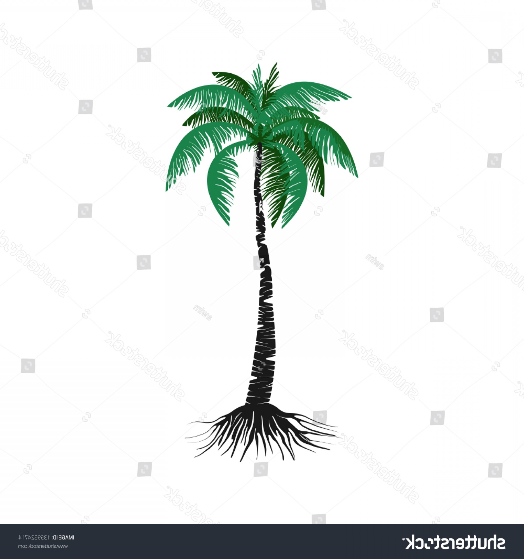 1800x1920 Palm Tree Vector Illustration Suitable Logo Hoodamathrun