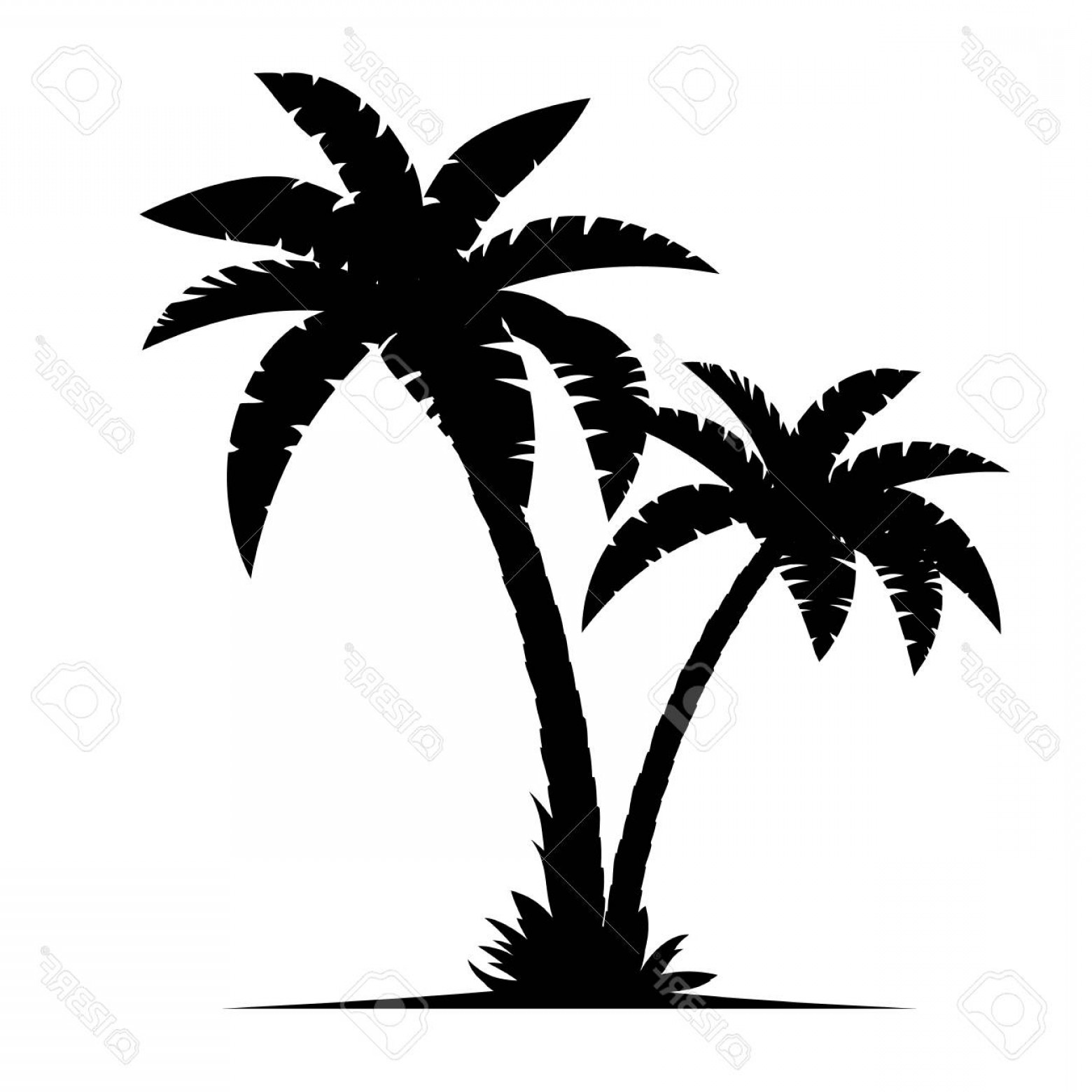 1560x1560 Photostock Vector Tropical Palm Trees Silhouettes Isolated