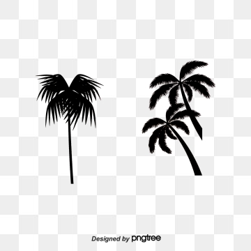 Palm Tree Vector Images at Vectorified.com | Collection of Palm Tree ...