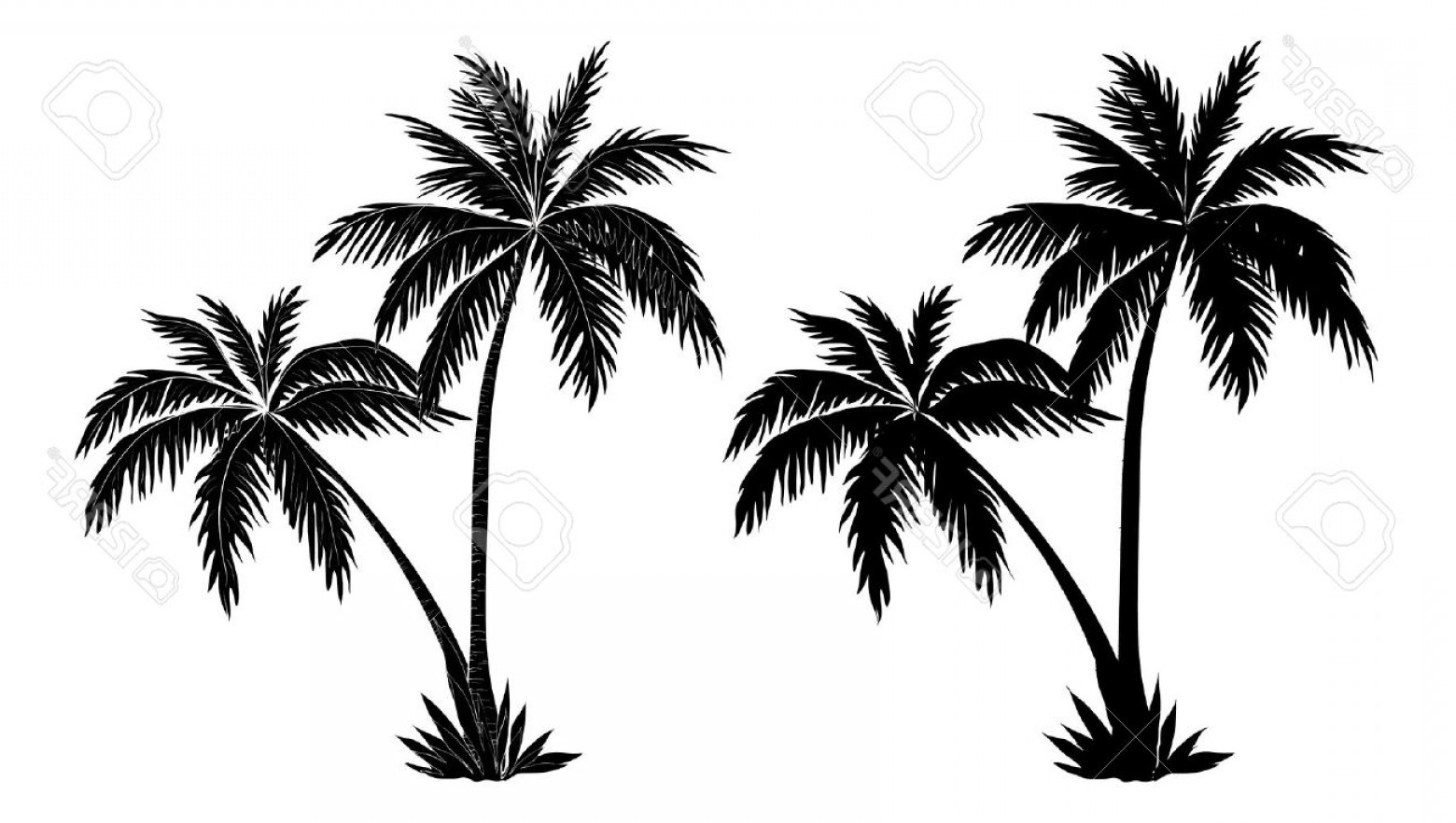 Palm Tree Vector Images at Vectorified.com | Collection of Palm Tree ...