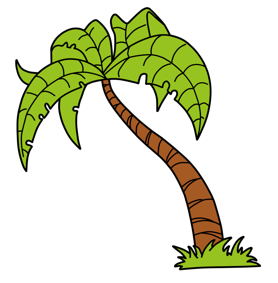 885x902 Free Green Palm Tree Vector