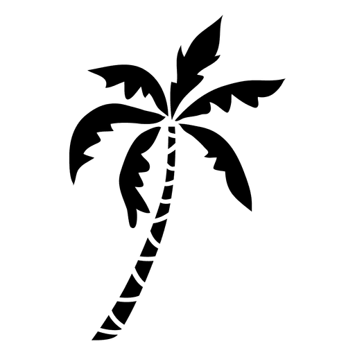 512x512 Palm Tree Vector Png Images In Collection