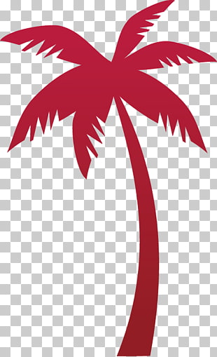 310x509 Coconut Tree Vector Material Png Cliparts For Free Download